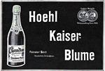 Hoehl Kaiser-Blume 1903 292.jpg